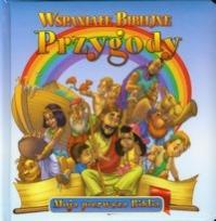 Okładka książki Wspaniałe biblijne przygody WDS