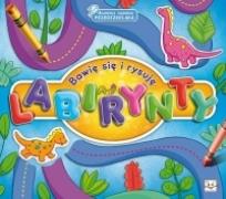 Okładka książki Akademia mądrego prz. Bawię się i rysuję labirynty