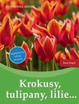 Okładka książki Krokusy, tulipany, lilie.. książka