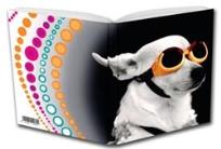 Opakowanie Notes Geepap Szybki pies