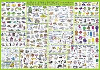 Opakowanie Podkład na biurko oklejany. Słownik polsko-angielski