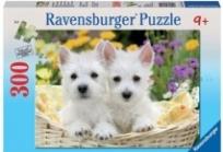 Okładka książki Puzzle 300 West Highland White Terriers