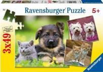 Okładka książki Puzzle 3X49 Koty i psy