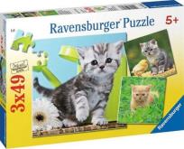 Okładka książki Puzzle 3X49 Przygoda kociaka