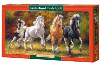 Opakowanie Puzzle 4000 Born to Run CASTOR