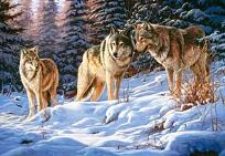 Opakowanie Puzzle 500 Wilki CASTOR