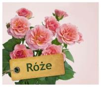 Okładka książki Róże