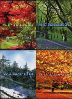 Opakowanie Brulion A5 Top-2000 w linie 96 kartek Pory roku mix