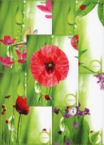 Opakowanie Brulion B5 Top-2000 w kratkę 160 kartek Ladybird mix