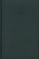 Opakowanie Notes B6 w linie Virando 41N-V Zielony