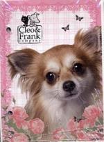 Opakowanie Wkład do segregatora A5 Cleo i Frank DERFORM