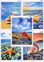 Opakowanie Zeszyt A5 Top-2000 w linie 60 kartek Bon voyage! Mix