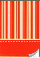 Opakowanie Zeszyt A5 w kratkę 96 kartek pasy