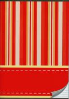 Opakowanie Zeszyt A5 w linie 96 kartek Pasy