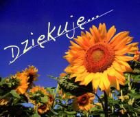 Okładka książki Perełka 023 - Dziękuję....