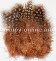 Okładka książki PIORKA DEKORACYJNE PERLICZKA BRĄZ 20 SZT