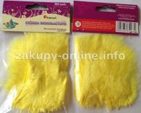 Okładka książki PIORKA DEKORACYJNE ZOLTE 20 SZT 0050-02