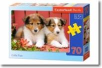 Okładka książki Puzzle 70 - Szczenięta Collie CASTOR