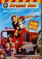 Okładka książki Strażak Sam Uwaga spadające owce