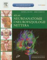Okładka książki Atlas neuroanatomii i neurofizjologii Nettera