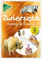 Okładka książki Poznaję i rysuję. Zwierzęta naszych lasów