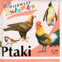 Opakowanie Ptaki Moje pierwsze słówka