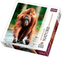 Okładka książki Puzzle 1000 Nature... - Orangutan TREFL