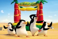 Opakowanie Puzzle 60. Pingwiny z Madagaskaru. ALEX