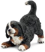 Okładka książki Bernardyn, szczenię