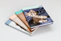 Opakowanie Brulion A5 w kratkę 96 kartek mix