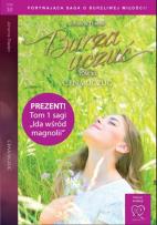 Okładka książki Cena uczuć