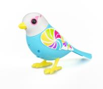 Opakowanie Digbirds z ramką Candy