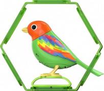 Opakowanie Digibirds z ramką