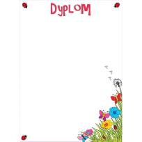 Opakowanie Dyplomy dziecięce biedronka 20 sztuk