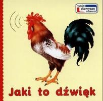 Okładka książki Jaki to dźwięk