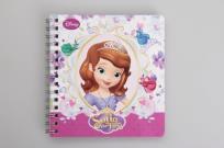 Opakowanie Kołonotatnik 80 kartek mix