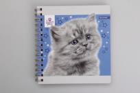 Opakowanie Kołonotatnik na spirali 80 kartek mix