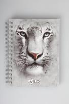 Opakowanie Kołonotes na spirali A6 w katkę 100 kartek