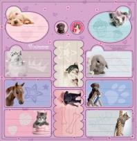 Opakowanie Naklejki na zeszyty