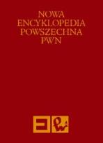 Opakowanie Nowa Encyklopedia Powszechna Tom 6