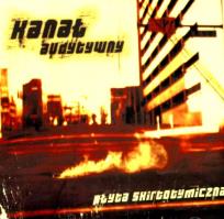 Okładka książki Płyta skirtotymiczna