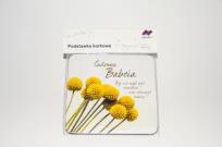 Opakowanie Podstawka Cudowna Babcia