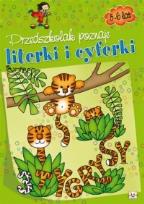 Okładka książki Przedszkolak poznaje literki i cyferki 5-6