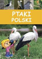 Okładka książki Ptaki Polski