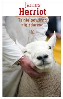 Okładka książki To nie powinno się zdarzyć