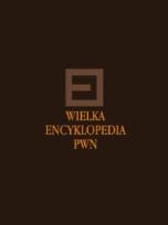 Opakowanie Wielka Encyklopedia PWN Tom 29