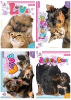 Opakowanie Wkłady do segregatora A5 8 kartek z kolorowankami i naklejkami seria 109