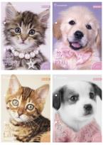 Opakowanie Wkłady do segregatora A5 8 kartek z kolorowankami i naklejkami seria 232