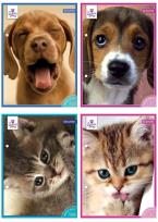 Opakowanie Wkłady do segregatora A6 8 kartek z kolorowankami i naklejkami seria 104