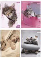 Opakowanie Wkłady do segregatora A6 8 kartek z kolorowankami i naklejkami seria  229